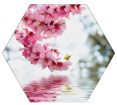 Untersetzer für Getränke, 6 Stück, saugfähige Keramikuntersetzer mit Korkboden, Frühlings-Natur-Druck, Tassenuntersetzer
