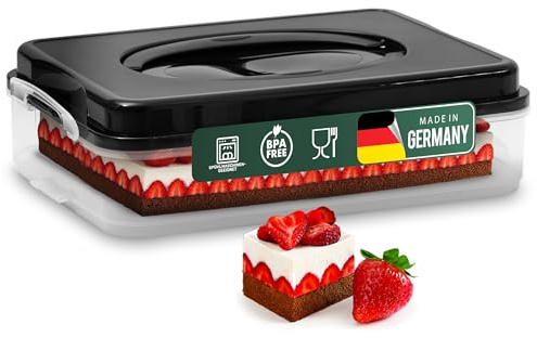 Novaliv Caja de transporte para tartas con una sola balda y tapa (rectangular 40 x 30 cm), caja de almacenamiento con cierre de seguridad e inserción, caja de fiesta, contenedor para tartas