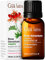 Gya Labs Organic Rose Geranium Essential Oil for Skin - 100% Pure Natural Organic Geranium Essential Oil for Diffuser - Natural Aromatherapy (10 ml)