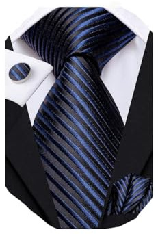 Dubulle Mens Paisley Floral Silk Tie for Men Black Blue Striped Necktie and Pocket Square Cufflinks Set Wedding Business