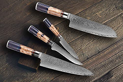 Muxel Damast Küchenmesser Set 4-TLG Extrem scharfe extrem schöne Kochmesser so individuell wie Deine Rezepte und Gerichte Damast VG10 Stahl 67 Lagen (4 Messer)
