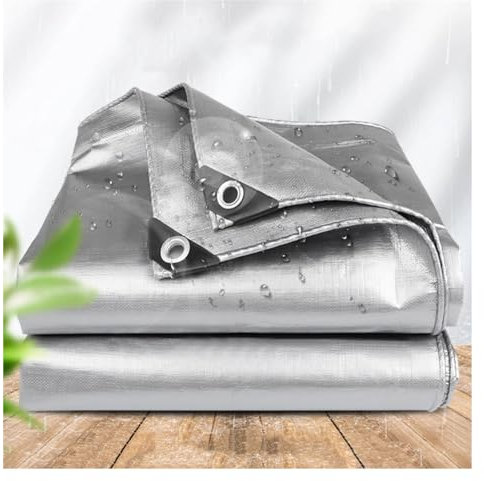 Schutzplane Bootsplane mit Ösen Abdeckplane mit UV-Schutz LKW Plane Anhängerplane, 0.32mm für Artenmöbel Holz Pool Trampolin Auto, Anpassbar blais (Color : Silver, Size : 2x5m)