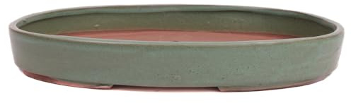 Bonsai - Schale Waldschale oval 31 x 21 x 4.5 cm matt grün 51085