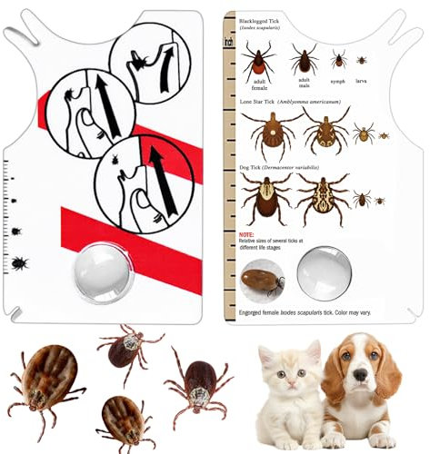 Alovez Lot de 2 cartes à tiques pour les humains - Pour enlever rapidement et en toute sécurité les tiques chez l'homme et les animaux domestiques