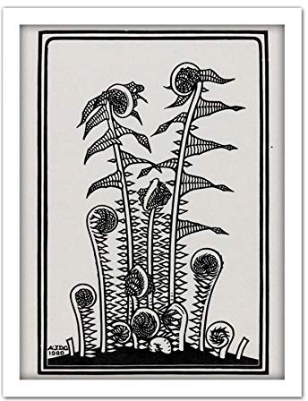 Artery8 Julie De Graag Ferns Plants Nature 1920 Artwork Framed Wall Art Print 18X24 Inch