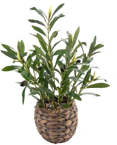 Ainuowei Indoor Fake Olive Plants 17.7 inches Tall Lifelike Artificial Olive Plants with Cyan Fruits in Brown Rattan Planter for Shelf Office Desk Kitchen Counter Small Space Artificial Plant Decor