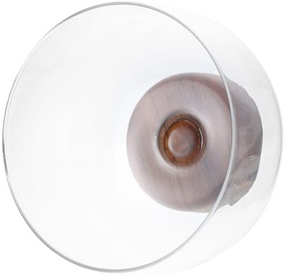 TOPBATHY Piatto Di Frutta Trasparente a Gambe Alte Asse Cestino Spuntino Pattumiera Da Cucina Vassoi Ciotola Di Frutta Contenitore Per Torte Ermetico Titolare Lavello Di Legno Transparent