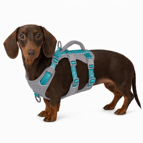 Huntboo Sicherheitsgeschirr Hund Ausbruchsicher, Panikgeschirr für Hunde, Reflektierendes Geschirr Hund mit Griff, Verstellbare Hundegeschirr für kleine, mittelgroße und große Hunde (Blaugrün,XS)