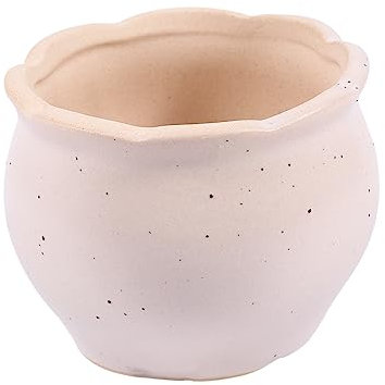 Toyvian Vaso di fiori succulenti decorazioni luminose per la casa vasi colorati mini vaso di fiori mini vasi di terracotta vaso per piante grasse fioriera decorativa Colore Casuale