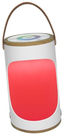 DIYEAH Lampe De Camping Portable Lampe Extérieur Rechargeable Par Usb Veilleuse Pour Tente Et Maison