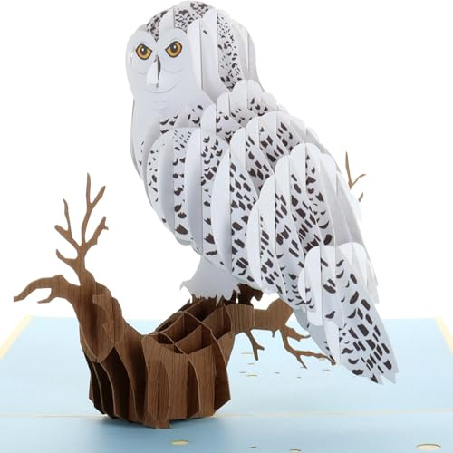 iGifts And Cards 3D-Pop-Up-Grußkarte mit magischer Eule, Tier, Zoo, süßer Vogel, nächtlich, Spaß, Abschluss, Happy Birthday, Just Because, Liebe, Freundschaft, Dankeschön, besondere Anlässe, BFF, Miss