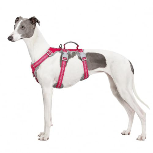 Huntboo Hundegeschirr Grosse Hunde, Hunde Sicherheitsgeschirr | Vollständig Reflektierendes, Gepolstertem Griff, Verstellbare Weste für Kleine, Mittelgroße, Grosse Hunde (Rosenrot, L)
