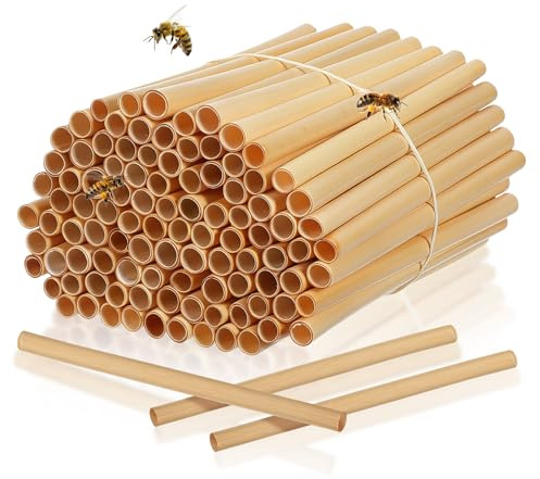 CALLARON Reed Röhrchen für Bienenhotel 100 Stück 15cm Lange Nisthülsen für Wildbienen und Mauerbienen Insektenhotel Ersatzmaterial