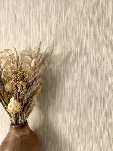 Newroom Vliestapete Beige Uni Sandton Wohnzimmer Tapete Schlafzimmer | naturnaher Farbton, feine Linienstruktur, ansatzfrei, natürliche Wandtapete, Strukturtapete, Boho Landhaus, Esszimmer Büro