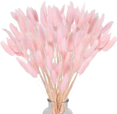 Damaiyy Torkad pampasgräs, kaninsvans gräs 60 stycken naturliga torkade blommor bukett dekoration konstgjorda stora torkade blommor, pampasgräs för inredning, fotografering, bröllop, rosa