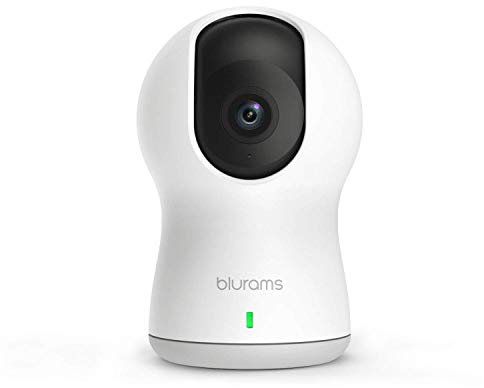 Blurams Dome Pro 1080p FHD telecamera di sorveglianza Dom camera casa-WiFi Mic.Alt rilevamento intelligente persone/animali/Suoni Avvisi tempo reale Vista Panoramica - Modalità Cruise (iOs e Android)