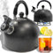Retoo - Hervidor de Aqua, eléctrico color negro moderno para todo tipo de fuegos, para vitrocerámica, gas, cocina eléctrica para té y café, camping al aire libre, color negro, Steel Gass Kettle
