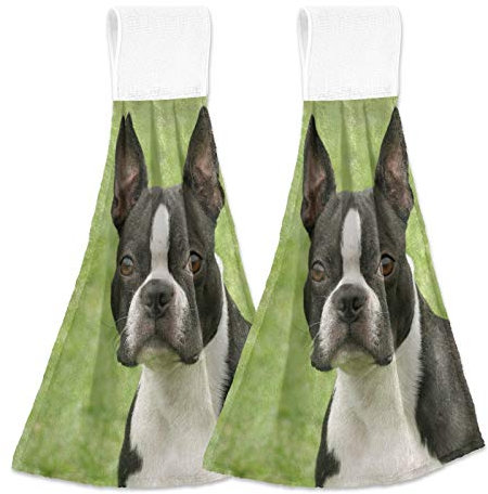 HMZXZ Hängend Hand Handtücher Küche Niedlich Hündchen Hund Krawatte Handtuch Saugfähig Sanft Koralle Samt Gericht Gericht Wischen Stoff mit Schleife für Bad Waschlappen Zuhause Dekor, 2er Pack