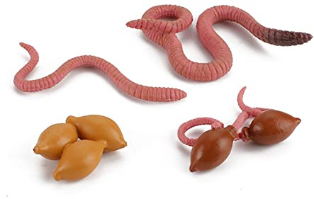 LICHENGTAI Tiere Lebenszyklus Figuren, Insekten Spielzeug Lebenszyklus Kunststoff Tierfiguren Kinder Pädagogische Modell Lernspielzeug Desktop Dekoration Lernspielzeug für Kinder