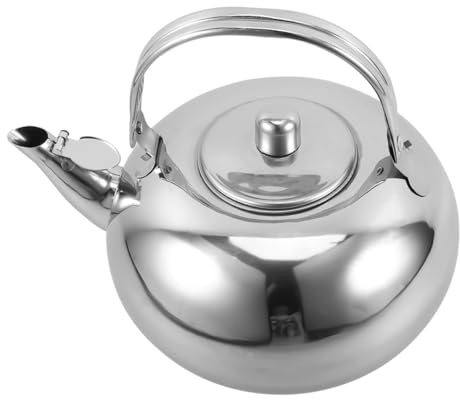 Théière Inox avec Infuseur, Grosse Capacité, Style Japonerie