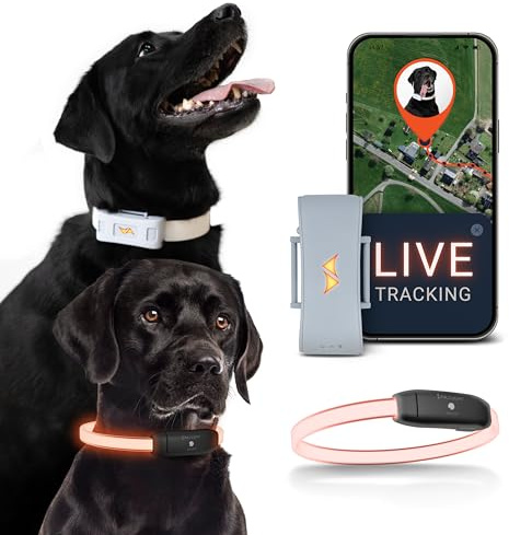 PAJ GPS – Collare LED Luminoso + GPS Tracker per Cani, Doppia Sicurezza, Localizzazione Live Mondiale + Visibilità Notturna, Mini GPS Tracker 4G per Cani, Allarme Anti-Fuga, 100% Impermeabile, Grigio