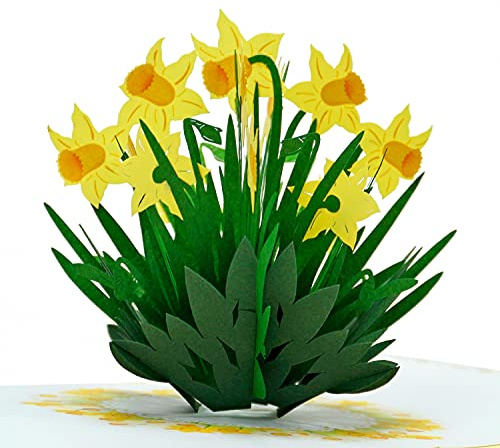 CUTPOPUP Påsklilja 3D-kort - födelsedagskort för kvinnor, mors dagskort pop up, blommor 3D-gratulationskort, jubileumskort, alla hjärtans kort UK