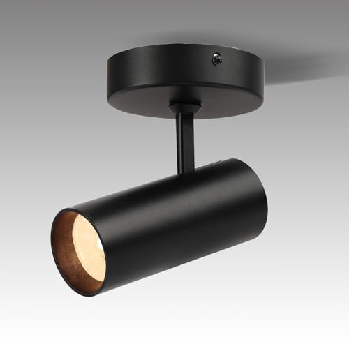 Marknice LED Dimmable Ceiling Spotlight Adjustable Angle Flush Mounted Directional Spot Light Aluminum Indoor 4.72’‘ Monopoint Light Accent for Living Room Painting CRI 98 12W 3000K Matte Black