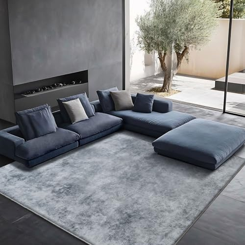 Tinyboy-hbq Teppich Wohnzimmer Kurzflor,Passend für Outdoor,Schlafzimmer und Balkon,Waschbarer Wetterfest Antirutsch,Abstrakt Grau Weiß/Multi,250x300cm