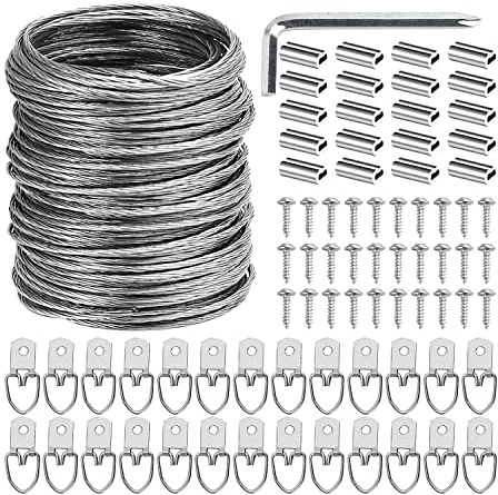 Quystetes Kit di fili per appendere quadri, 30,5 m, resistente, per appendere foto, specchi, cornici, opere d'arte