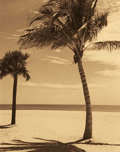 Feeling at home LIENZO-con-AMERICANO-BOX-Palm-Beach-I-Kelly-Dennis-Costa-Fine-Art-impresión-sobre marco de madera-Vertical-20x15_in