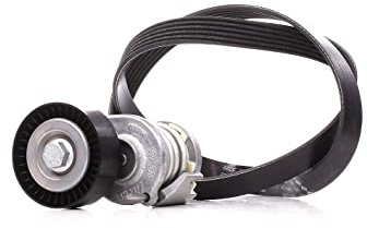 INA 529 0475 10 Keilrippenriemensatz 1070mm 6-Rippenanzahl Kompatibel mit VW Golf 6 5K1 030145933E 030145933G 030145933L | Kompatibel mit: AUDI A1, A1 Sportback, A3, A3 Cabriolet, A3 Sportback, Q3, TT, TT Roadster, SEAT ALHAMBRA, ALTEA, ALTEA XL