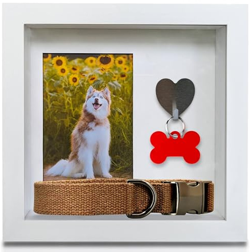 Green Pollywog Gedenkbox für Haustiere, mit Foto, Anhänger und Halsband, weißer Rahmen mit Bildöffnung von 10,2 x 15,2 cm, 25,4 x 25,4 x 6,3 cm