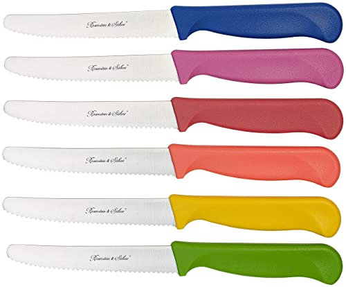 Rosenstein & Söhne Brötchenmesser: 6er-Set bunte Frühstücksmesser mit Wellenschliff, 11,4 cm Klingenlänge (Vespermesser, Schneidemesser, Keramikmesser)