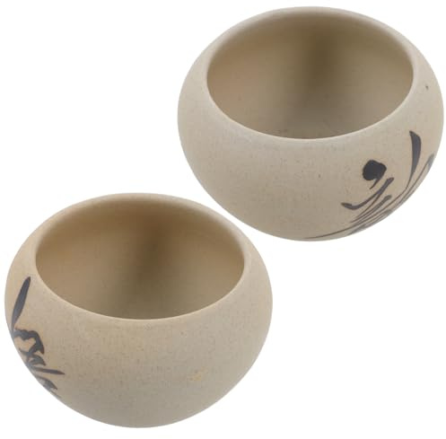 COOPHYA 2 Piezas Maceta de Cerámica para Suculentas de Diseño para Decoración de Oficina y para Cactus y Flores