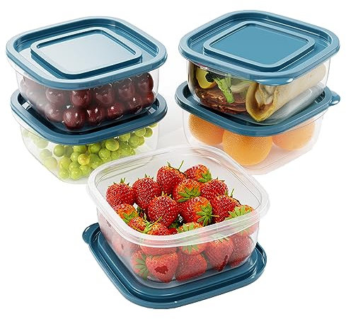EFISH 5PCS Square Plastic Portion Box Sets with Lids.Food Storage Box,Container Sets,Food Storage,Food Containers,Cereal Containers,use for School,Work and Travel,950ML Per Box