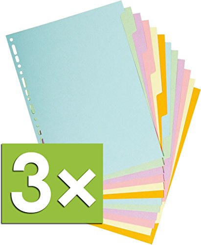 Registro Forever Recy.kart. f.a4 12 Tabs, 12 Tabs, Multi-Colour Pastel, 3