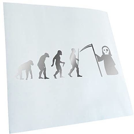 Kiwistar - Autoaufkleber - Sensenmann Tod Evolution - Chrom - 30x10cm - Heckscheibe Auto Aufkleber wetterfest für Kfz LKW Mofa Truck - Sticker außen selbstklebend Tuning Zubehör für Fenster Fahrzeug