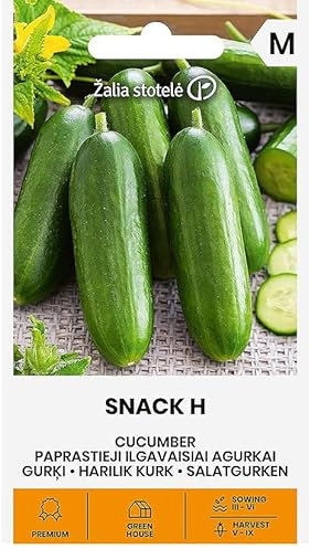 Zalia Stotele | Concombres - Graines Snack H | Graines de légumes | Planter des graines | Graines de concombre | Hybride très précoce, autogame | 1 paquet