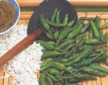 Pcs - 300x Poivre Vert Curry Caillieret Xotica Collection Légumes Plantes - Graines K245 - Seeds & Plants Shop by Ipsa