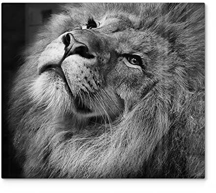 DEQORI Herdabdeckplatte Glas | einteilig 60x52 cm | Motiv Der König der Tiere | Ceranfeld Abdeckplatte für Küche | Herd-Abdeckung universal | Glasplatte & Schneidebrett für Kochplatten