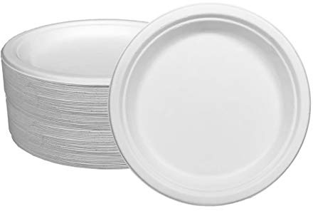Ecorigin Platos desechables y ecológicos de caña de azúcar. Pack de 100 Unidades y 22 cm. Compostables y biodegradables.