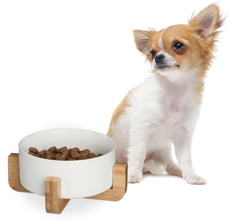 Relaxdays Gamelle pour Chien, 850 ML, pour Nourriture & Eau, Bol avec Structure en Bambou, HxLxP : 9 x 20 x 20 cm, Blanc