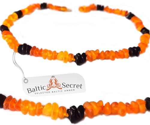 Echte Bernsteinkette für Katzen & kleine Hunde Stylisch Glänzend Bernstein Halsband & Kette das sogar die Nachbarskatze neidisch Macht Perfekter Look für kleine Vierbeiner mit Stil (BUNT, 28 cm)