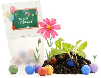 Nachhaltiges Geschenk zur Einschulung – Du bist 1. Klasse | 5 bunte Blumenmurmeln | Geschenk zum Schulstart, zur Schuleinführung, zum Start in die 1. Klasse | Geschenkidee Schultüte, Zuckertüte