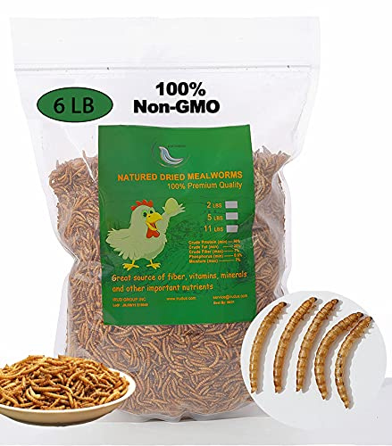 Euchirus Non-GMO High-Protein Large Dried Mealworms for Chickens, Natural Grubs and Poultry Treats as Chicken Feed,Duck Food, Wild Birds Seed,Fish Food,Reptile Food,Amphibian Food(Mealworms-6LB)