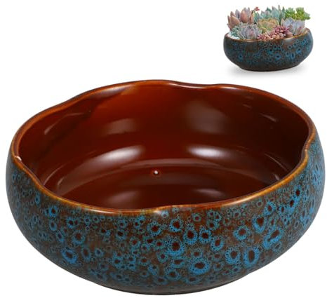 Yardenfun Grand Pot de Fleurs hydroponique en céramique pour Lotus jonquilles Pots de Plantes d'intérieur au Design élégant pour la Maison et Le Bureau