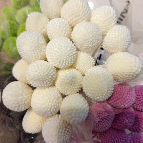 20 Stiele Billy Ball Blume, Craspedia Globosa Kugeln, australische Drumstick Chrysantheme, ewiges Leben, Blume, für Zuhause, Hochzeit, Party, Themen-Dekorationen (weiß)