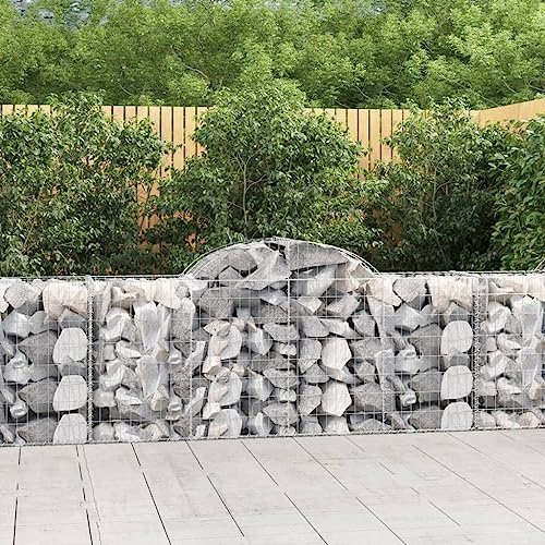 Nqyjm Cestini di gabbione 2 pz Forma di Arco Ferro 200x50x80/100 cm Zincato Cestino Recinzioni per Giardino Metalli Gabbioni Fioriera