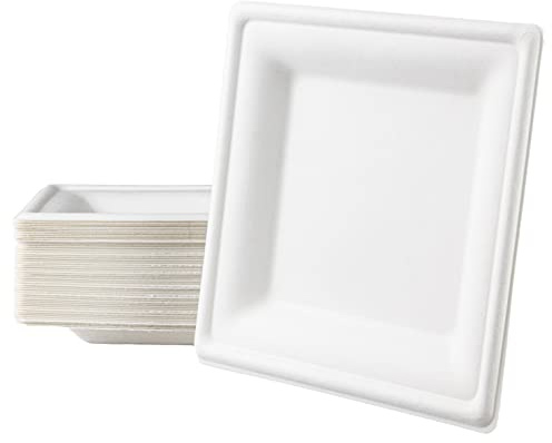 Love Nature Einwegteller 50 Stück - Einweg Teller Eckig 26cm aus Zuckerrohr | Partyteller Einweggeschirr Umweltfreundliche Stabil zum Geburtstag, Grillabende und Picknicks