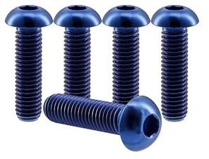 RISON-Titanium 5 Pezzi Viti a Testa Bombata in Titanio con Esagono Incassato M6x10mm, Viti a Brugola Bulloni in Titanio, Vite a Testa Semicircolare Vite a Bottone a Testa Tonda per Bici Moto